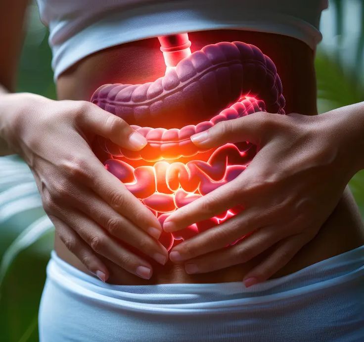 Buy original Digestive Health Supplements in Pakistan online