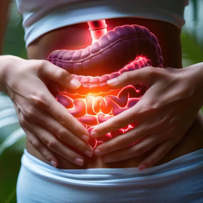 Digestive Health Supplements in Pakistan